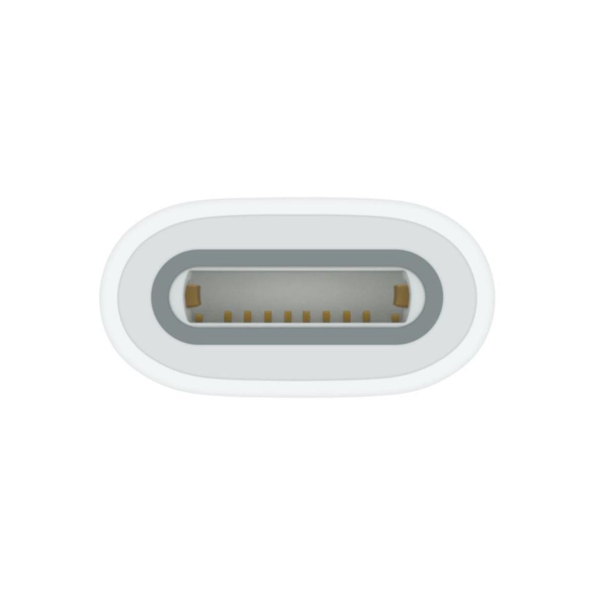 Apple USB-C to Apple Pencil Adapter1 Apple USB-C to Apple Pencil Adapter
