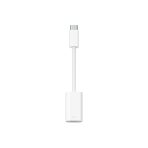 USB-C to Lightning Adapter