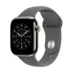 Apple Watch Series 11 GPS + Cellular 42mm Natural Titanium Case with Stone Grey Sport Band - S/M