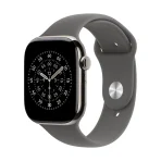 Apple Watch Series 11 GPS + Cellular 46mm Natural Titanium Case with Stone Grey Sport Band - S/M